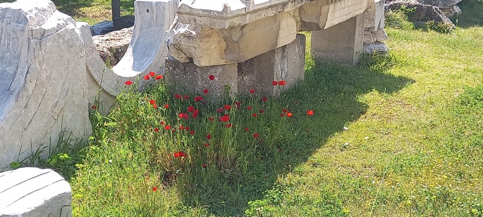 περίπατοι art therapy