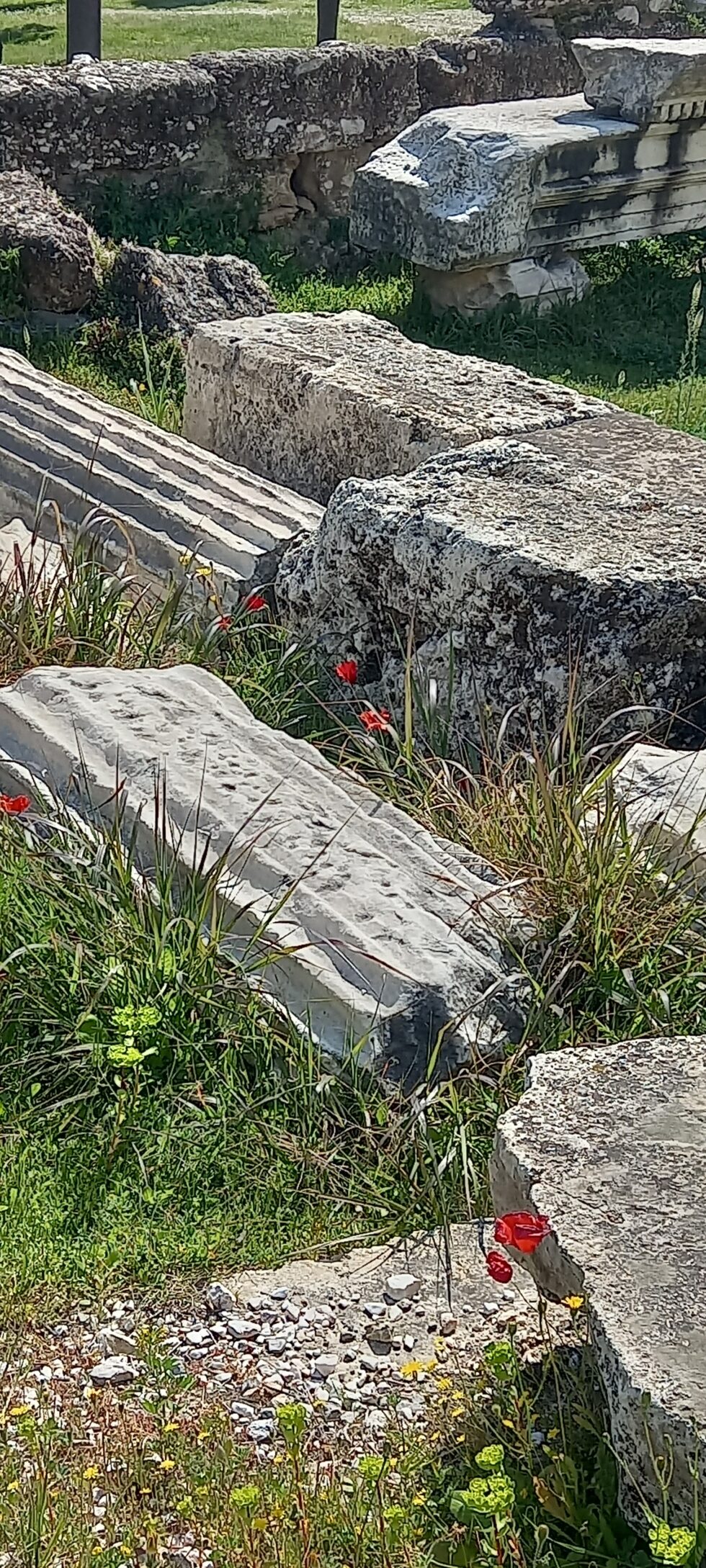 περίπατοι art therapy